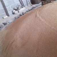 گندم‌بذری‌اصلاح‌شده‌باران