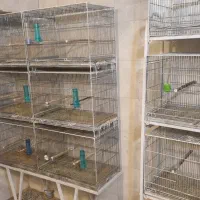 قفس|لوازم جانبی حیوانات|شهرکرد, |دیوار