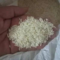 فروش چندکیلوبرنج عنبربوبه شرط پخت وبوی عاالی