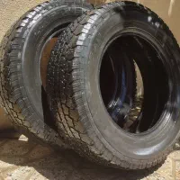 لاستیک در حد