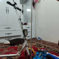 ریسه ال دی