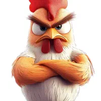 توزیع مرغ  شمال