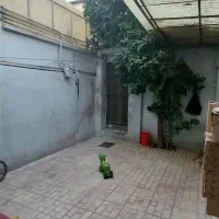 خانه ویلایی حیاط دار