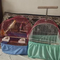 قفس|لوازم جانبی حیوانات|تهران, خزانه|دیوار