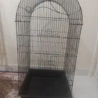 قفس عروس هلندی و طوطی