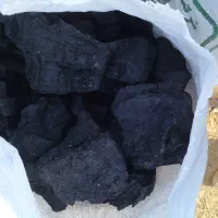 فروش ذغال سیب