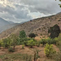 فروش زمین در روستای تکلیم|فروش زمین و ملک کلنگی|رودبار, |دیوار