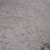 زمین نارجوعیه