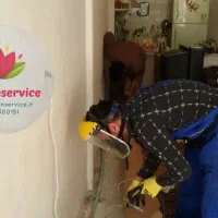 سمپاشی موریانه سم پاشی سوسک