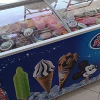 فریزر شرکت دومینو به صورت امانی|فروشگاه و مغازه|فردیس, شهرک صنعتی سیمین دشت|دیوار