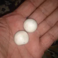 فروش|کلکسیون اشیاء عتیقه|بهشهر, |دیوار