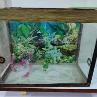 دو عدد آکواریوم سالم وتور و گل