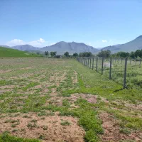 زمین-آبی-باغی-سند-دار-برآسفالت-چسبیده-محدوده-روستا
