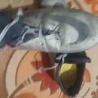 کفش استوک دار سایز 43 و 44 هممیخوره|کیف، کفش، کمربند|اهواز, فدک|دیوار