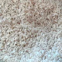 برنج هاشمی|خوردنی و آشامیدنی|سیروان, |دیوار