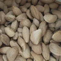 پوست بادام‌تنی۱۲تومان