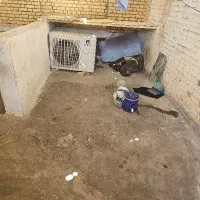 کرایه خونه  ماشین رو