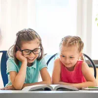 فلش دو زبانه