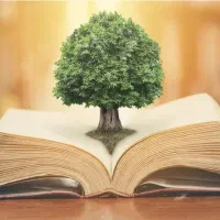 تدریس زبان تا مقطع دبیرستان