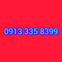 09133358399