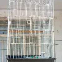 قفس پرنده
