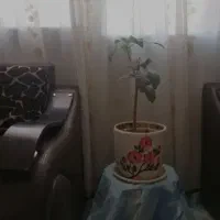 سوئیت مبله