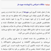 سنگ قیمتی با جذب بالا|جواهرات|مرودشت, شهرک مهدیه|دیوار