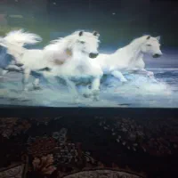 تابلو در حد نو|تابلو، نقاشی، عکس|تاکستان, |دیوار