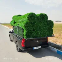 چمن مصنوعی و فنس برگی