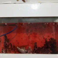 آکواریم|ماهی|نظرآباد, مسکن مهر نظرآباد|دیوار