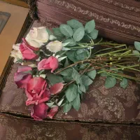 دکوری|کلکسیون اشیاء عتیقه|اصفهان, بهار آزادی|دیوار