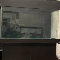 اکواریوم