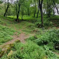 زمین-بلوار-امام-رضا-پشت-دکتر-خوبی