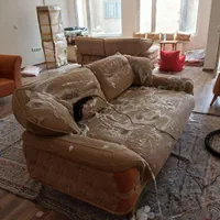 مبل شویی آبیار . شستشوی مبلمان و خوشخواب تخصصی|خدمات نظافت|نیشابور, شریعتی|دیوار