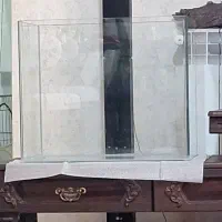 اکواریوم شیشه خم