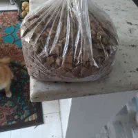 غذا خشگ سگ
