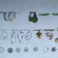 کار دانشجویی شیت بندی پرسپکتیو طراحی معماری|خدمات آموزشی|مشهد, سید رضی|دیوار