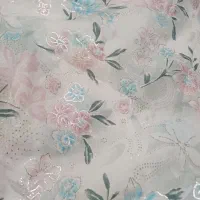 چادر|لباس|نیشابور, کوی حسینی|دیوار