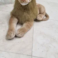 عروسک شیر|اسباب‌بازی بچه|اسلام‌شهر, شهرک قائمیه|دیوار