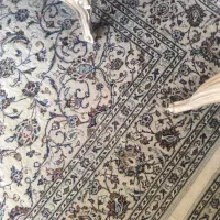 فرش ۶ متری دستباف کاشان|فرش|کرج, عظیمیه|دیوار