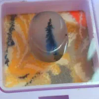 ۹ عدد نگین شجر قائن طبیعی و اصل|جواهرات|شیراز, نارنجستان|دیوار