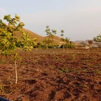 باغ روستای خوش آب و هوای زرشک قزوین|فروش خانه و ویلا|تهران, قیطریه|دیوار