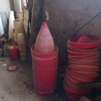 آب خوری دان خوری مرغ