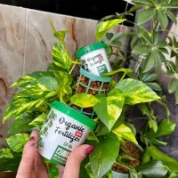 قرص کود ارگانیک فوقالعاده|گل و گیاه طبیعی|اهواز, سپیدار|دیوار