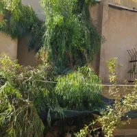 180متر-ویلایی-و-زیر-زمین-ملکشهر-سند-تک-برگ