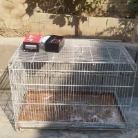 قفس|لوازم جانبی حیوانات|امیدیه, |دیوار