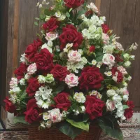 گل سبدی