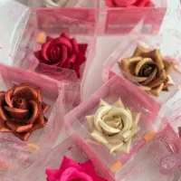 رژ گونه،رژ، کوشن، هایلایتر، سایه