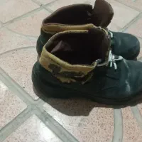پوتین برای کار