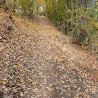 سرویس مدارس